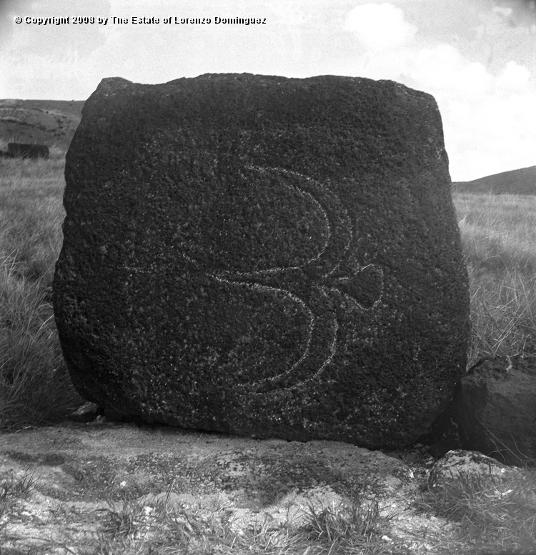 ANA_Pajaro_En_Vuelo_05.jpg - Easter Island. 1960. Anakena. Petroglyph over the paenga of an ahu representing a flying bird.